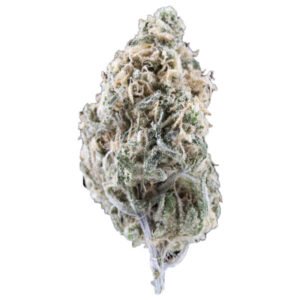 Blue Dream Sativa Dominant Hybrid Strain 17% – 24% THC