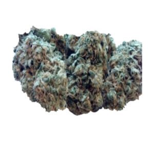 Candy Jack Strain 27% THC