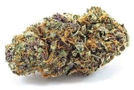 Forbidden Fruit Indica Hybrid Strain 23% – 26% THC