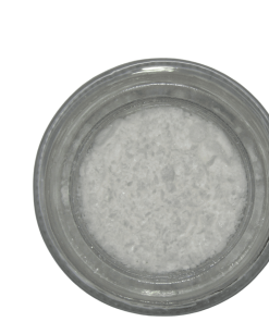 NN-DMT Freebase
